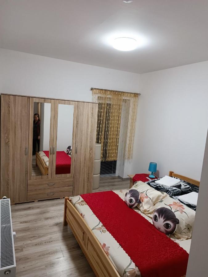 Viet Sen Pension Železná Ruda Esterno foto